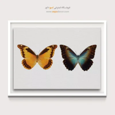 تابلو پروانه - اسپو دکور
