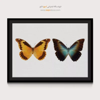 تابلو پروانه - اسپو دکور