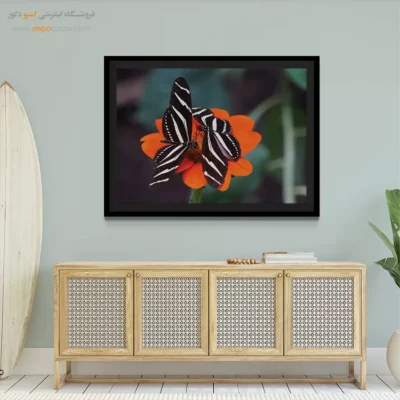 تابلو پروانه - اسپو دکور