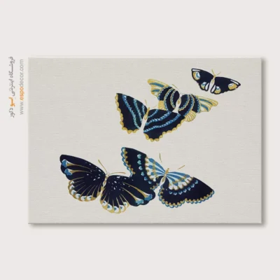 تابلو پروانه - اسپو دکور