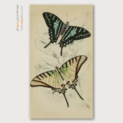 تابلو پروانه - اسپو دکور