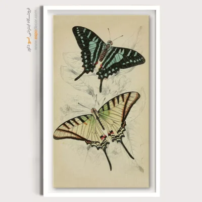 تابلو پروانه - اسپو دکور