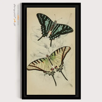 تابلو پروانه - اسپو دکور