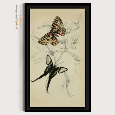 تابلو پروانه - اسپو دکور