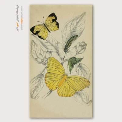 تابلو پروانه - اسپو دکور