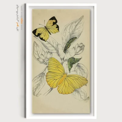 تابلو پروانه - اسپو دکور