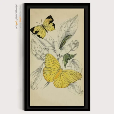 تابلو پروانه - اسپو دکور