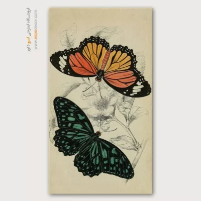 تابلو پروانه - اسپو دکور