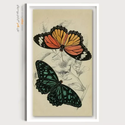 تابلو پروانه - اسپو دکور