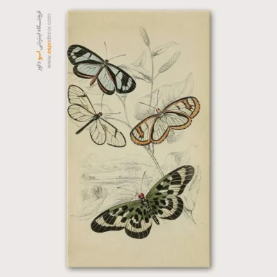تابلو پروانه - اسپو دکور