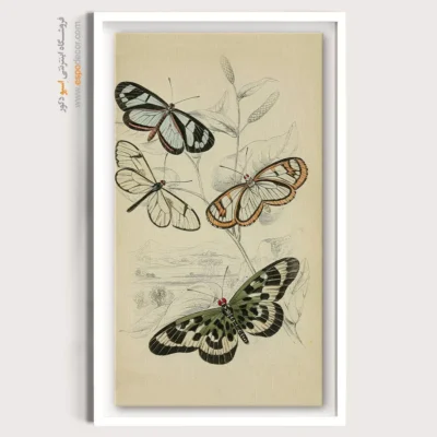 تابلو پروانه - اسپو دکور