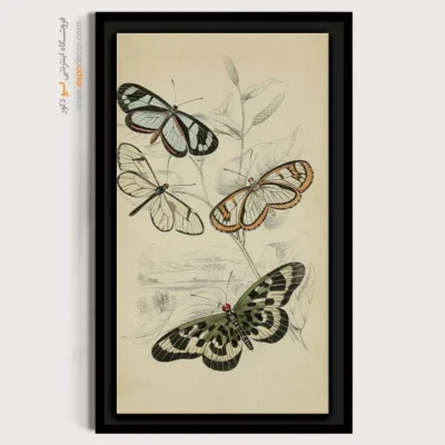 تابلو پروانه - اسپو دکور