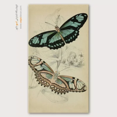 تابلو پروانه - اسپو دکور