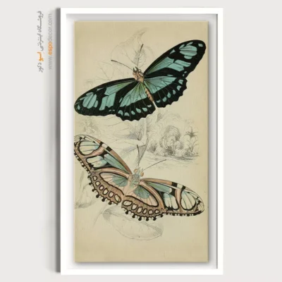 تابلو پروانه - اسپو دکور