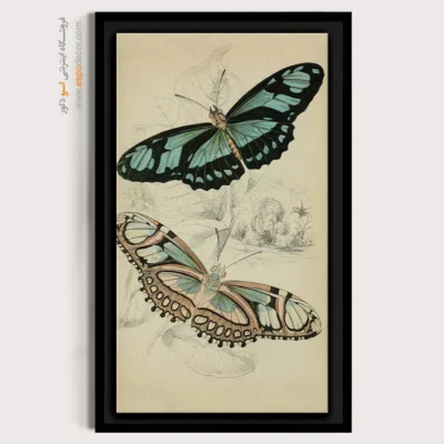 تابلو پروانه - اسپو دکور