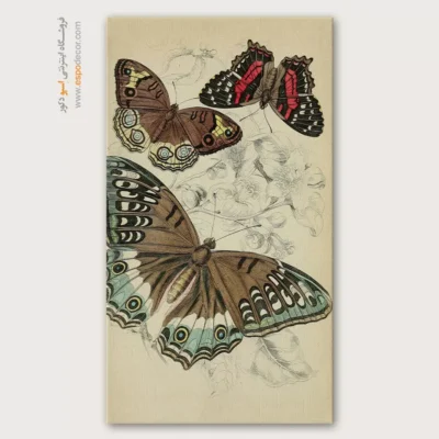 تابلو پروانه - اسپو دکور