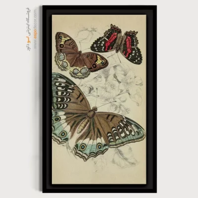 تابلو پروانه - اسپو دکور