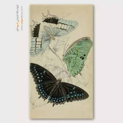 تابلو پروانه - اسپو دکور