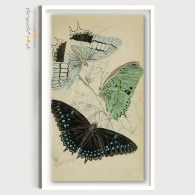 تابلو پروانه - اسپو دکور