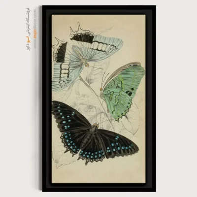 تابلو پروانه - اسپو دکور