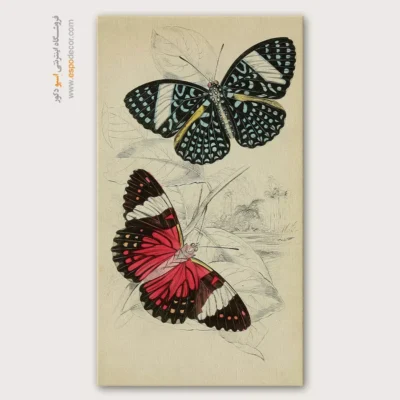 تابلو پروانه - اسپو دکور