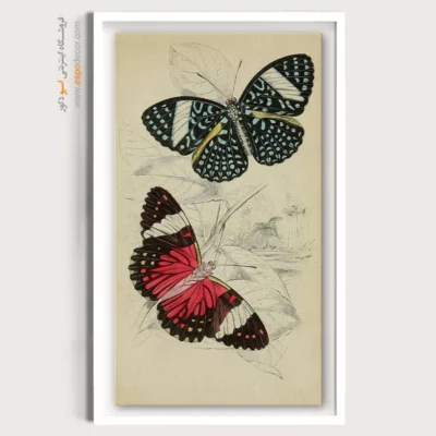 تابلو پروانه - اسپو دکور