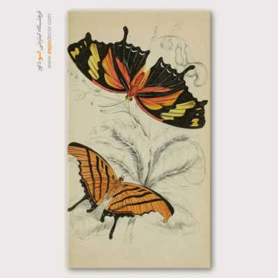 تابلو پروانه - اسپو دکور