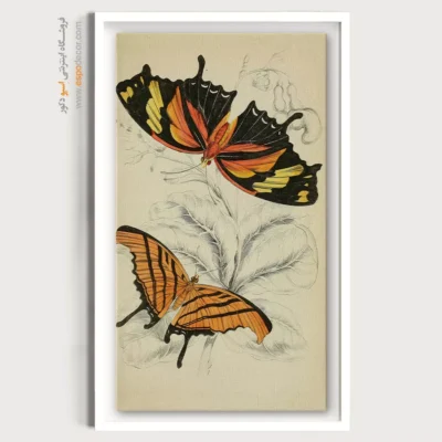 تابلو پروانه - اسپو دکور