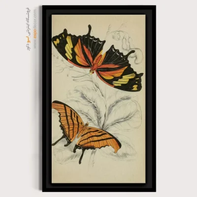 تابلو پروانه - اسپو دکور