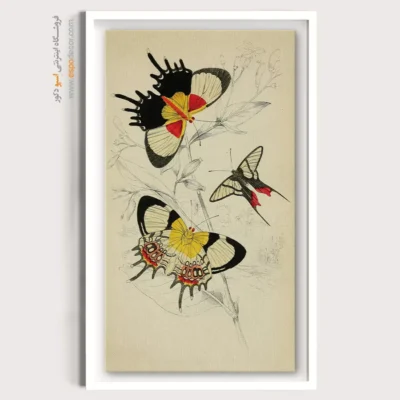 تابلو پروانه - اسپو دکور