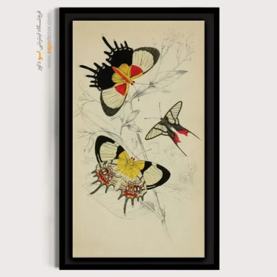 تابلو پروانه - اسپو دکور