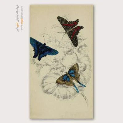 تابلو پروانه - اسپو دکور
