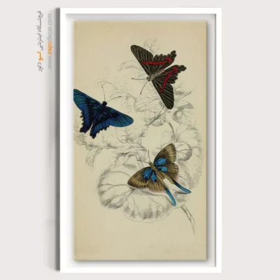 تابلو پروانه - اسپو دکور