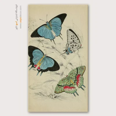 تابلو پروانه - اسپو دکور