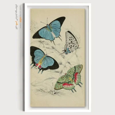 تابلو پروانه - اسپو دکور