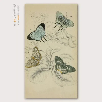 تابلو پروانه - اسپو دکور