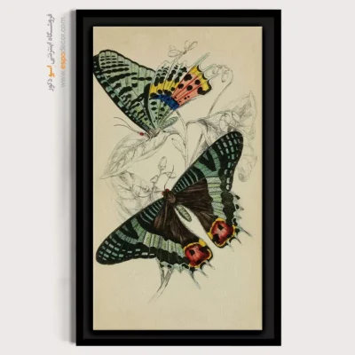 تابلو پروانه - اسپو دکور