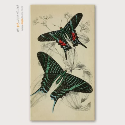 تابلو پروانه - اسپو دکور