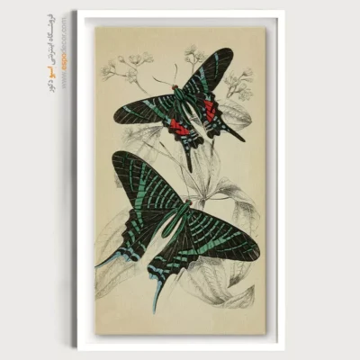 تابلو پروانه - اسپو دکور