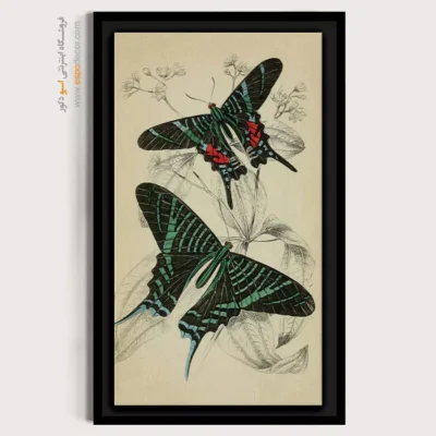 تابلو پروانه - اسپو دکور