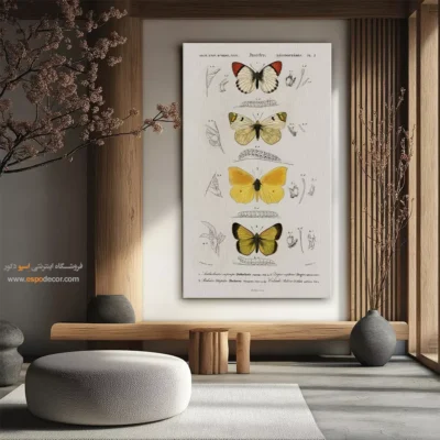 تابلو پروانه - اسپو دکور