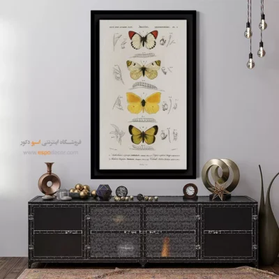 تابلو پروانه - اسپو دکور