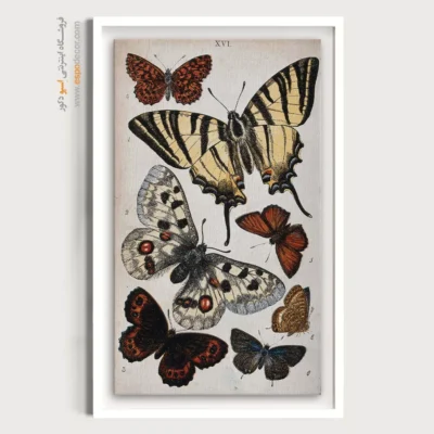 تابلو پروانه - اسپو دکور