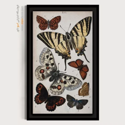 تابلو پروانه - اسپو دکور
