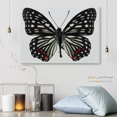 تابلو پروانه - اسپو دکور