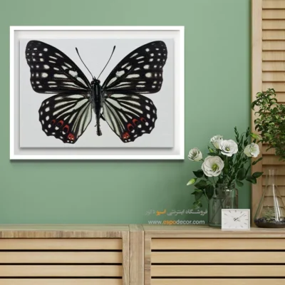 تابلو پروانه - اسپو دکور