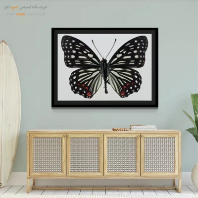 تابلو پروانه - اسپو دکور