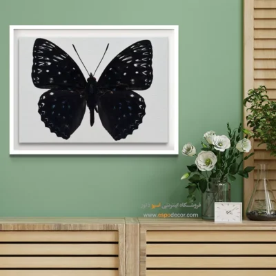 تابلو پروانه - اسپو دکور
