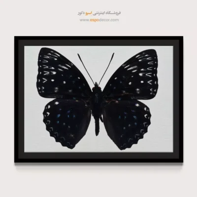 تابلو پروانه - اسپو دکور