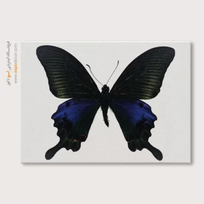 تابلو پروانه - اسپو دکور